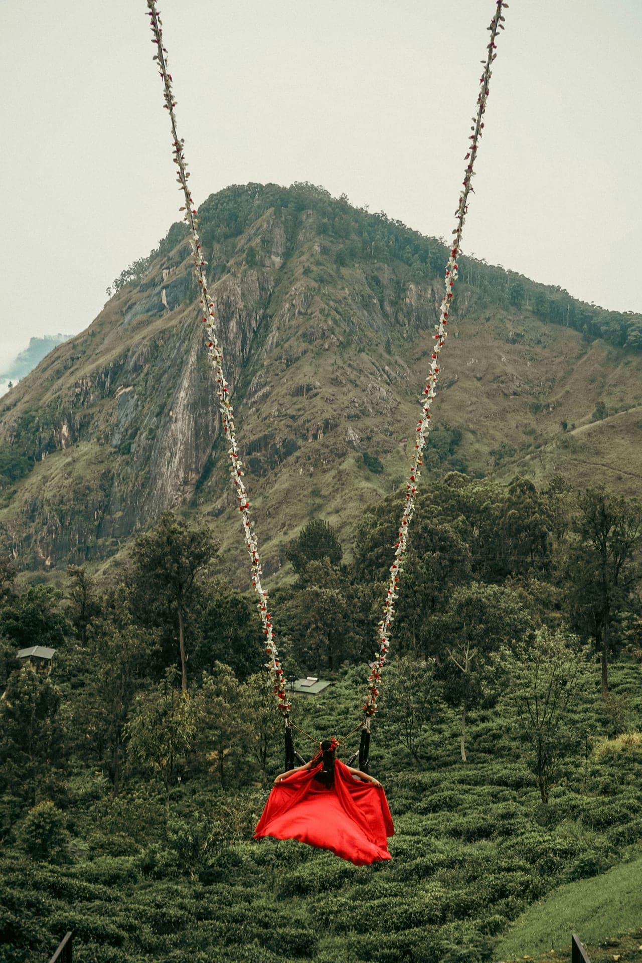 Ella ➝ Yala Safari