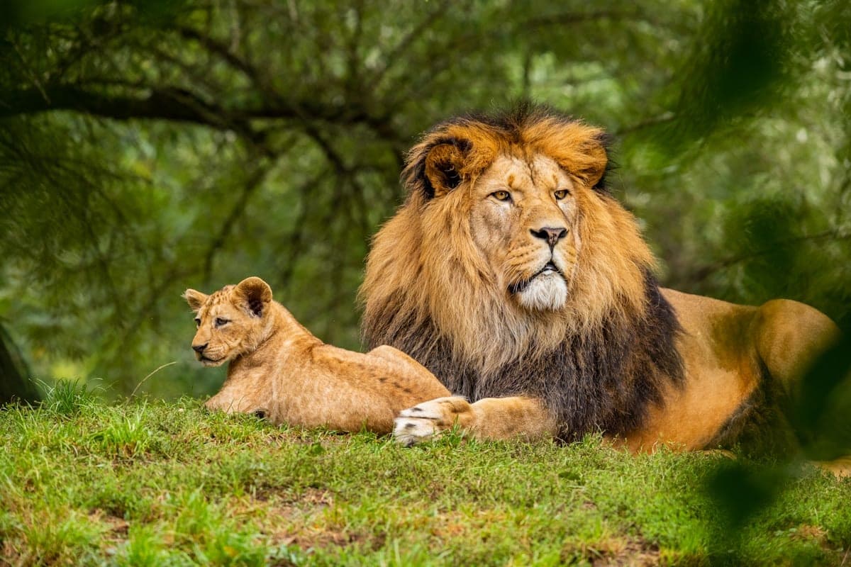 Wilpattu National Park