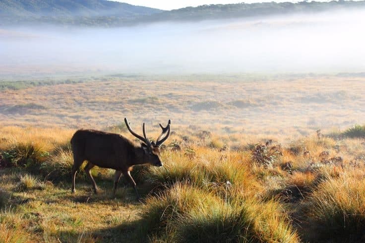 Horton Plains National Park