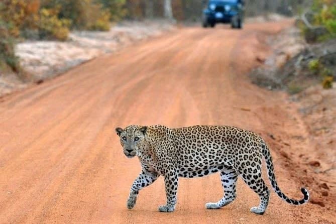 Udawalawe National Park